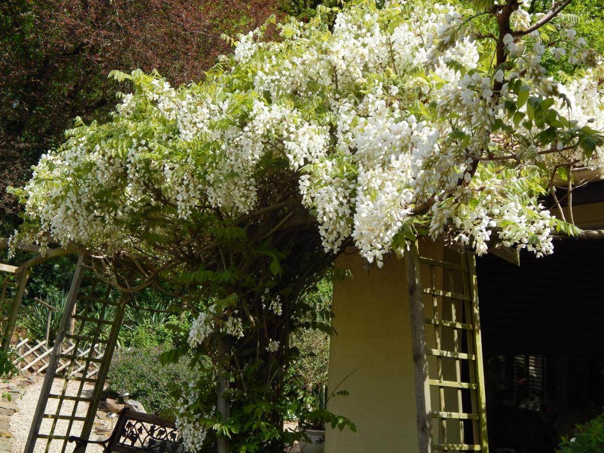 The Petite Chalet Chambre D'Hotes L'Isle-Jourdain  외부 사진