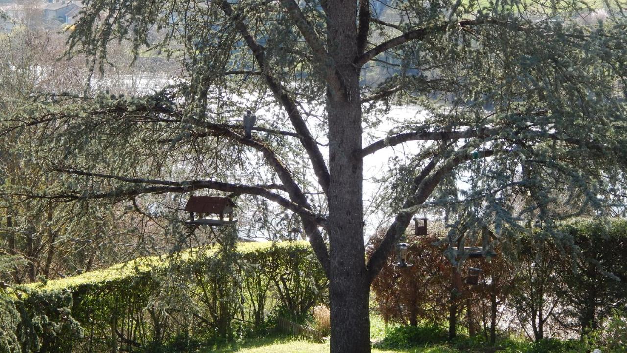 The Petite Chalet Chambre D'Hotes L'Isle-Jourdain  외부 사진